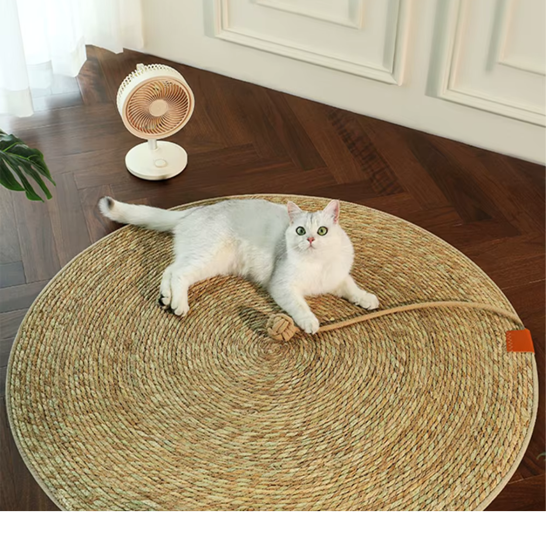 Luxury Cat Tower Playground